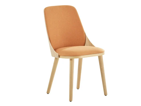 IMG_1594 SANDER CHAIR